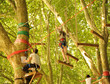 accrobranche