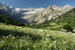 alpine meadows near Cirque de Gavarnie