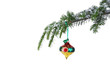 isolated multicolored Christmas ornament on a pine branch