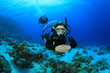 Photo: Female Scuba Diver in Tropical Sea Female Scuba Diver in Tropical Sea