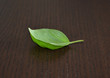 Foto: blatt auf holztisch blatt auf holztisch