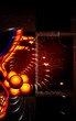 Alveoli