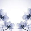 Vintage floral background Vintage floral background