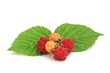 Les framboises