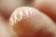 Photo: Micro People Micro People