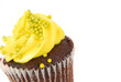 cupcake close up