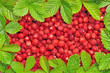 Strawberries.
