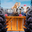 tiroler girl in the snow behind a bar
