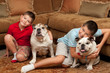 Children and Dogs