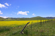 Piano Grande - Monti Sibillini - Umbrien - Italien - Hochebene