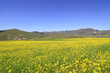 Piano Grande - Monti Sibillini - Umbrien - Italien - Hochebene