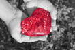 heart in children's hands b/w