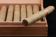Photo: Dutch Cigars in a wooden box Dutch Cigars in a wooden box