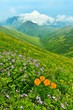 Photo: Spring mountains landscape Spring mountains landscape