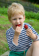 strawberries