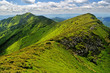 Rocky ridge in Marmaroski alps. Carpathians Rocky ridge in Marmaroski alps. Carpathians