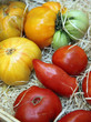 Variétés de Tomates : Ananas - Marmande - Cornue