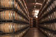 Bodegas de Ribera del Duero en Valladolid