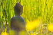 Photo en ligne au meilleur prix Buddha Meditation am Wasser
