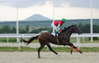 Horse racing.