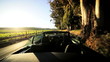 Driving Through the Vineyards of Napa Valley