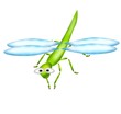 libellula