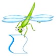 libellula due