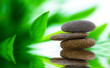 Photo: Wellness/Beauty Wellness/Beauty