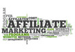 Word Cloud "Affiliate Marketing"