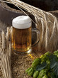 beer with barley and hops