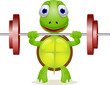 funny turtle lift barble