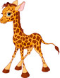 Giraffe Calf Giraffe Calf