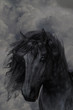 black Beauty