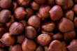 Castagne 01