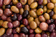 Olive 01