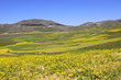 Castelluccio - Piano Grande - Monti Sibillini - Umbrien - Italie