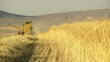 harvesting machine wheat cut track