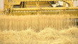 harvesting machine wheat cut