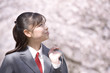 桜並木を歩く女子高生