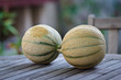 Melon