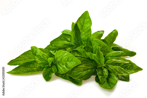 Photo: Basil Basil