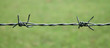Barbed.