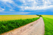 Country road Country road