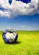 Photo en ligne au meilleur prix Mundo ecol�gico