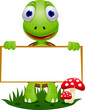 turtle cartoon and blank sign turtle cartoon and blank sign
