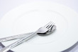 spoon dish on the dining table spoon dish on the dining table