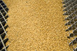 Wheat grains on the silo grid