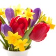 Tulips, daffodils and crocuses