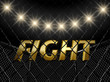 Fight cage , 3d illustration