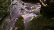 Waterfall in a forest in the North Caucasus